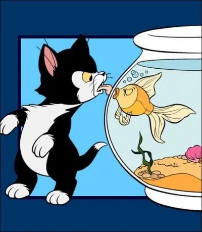 Dans quel dessin anim rencontre-t-on Figaro ?