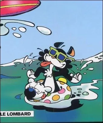 Un chat qui tombe sur un 'os' ...