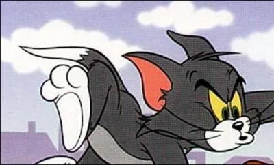 Court depuis des decennies aprs une souris ... en vain