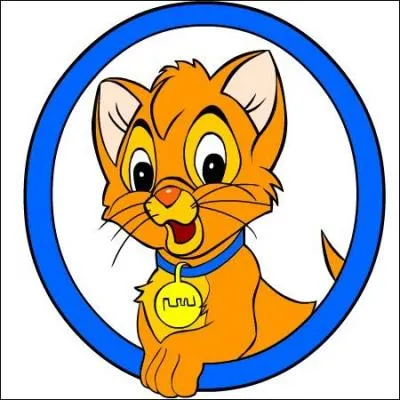 Chaton au milieu de chiens des rues ...