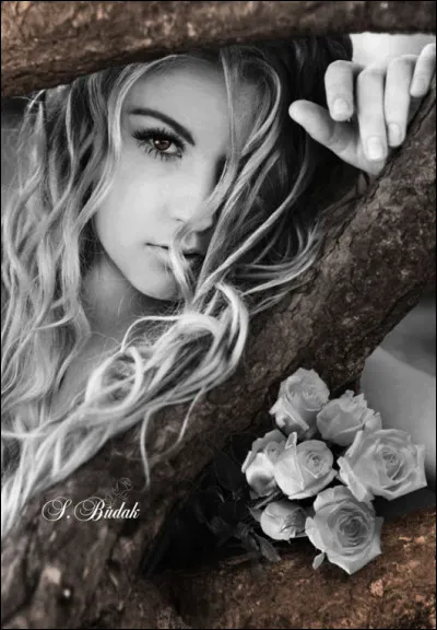 À qui Jean-Luc Lahaye s'adresse-t-il en chantant "Simplement j'te dis que je t'aime, t'es comme un soleil qui brille dans mes nuits". Qui est celle qu'il aime ?