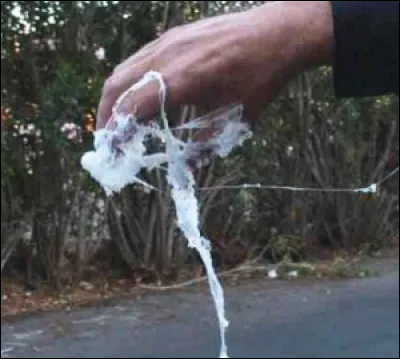 Le film sorti en vidéo, Christina, princesse de l'érotisme avait pour titre original ?