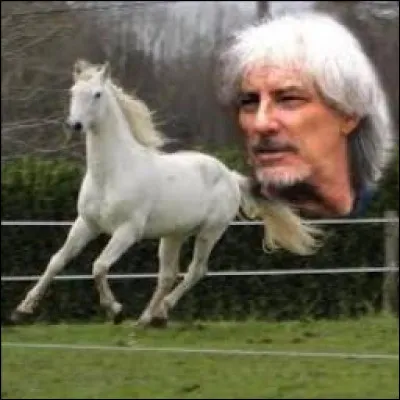 Musique : Complétez les paroles de "Stewball" d'Hugues Aufray : "Il s'appelait Stewball, c'était un cheval blanc, ...".