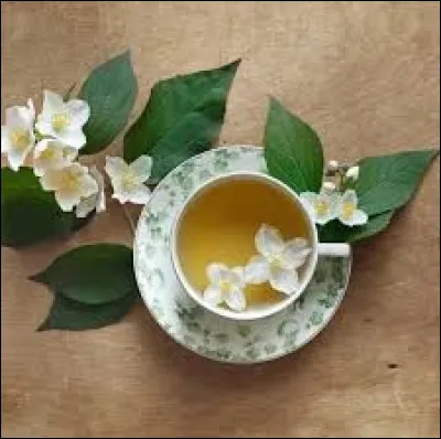 Quelle variété de thé a des effets positifs sur la santé ?