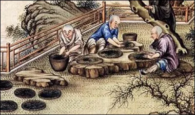 À quelle époque le thé devient-il à la mode en Chine ?