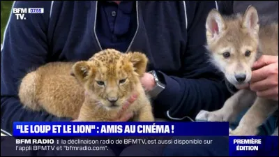 Qui est le réalisateur du film "Le Loup et le Lion" ?