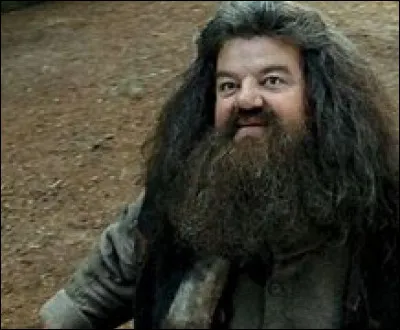 Comment s'appelle ce personnage ?