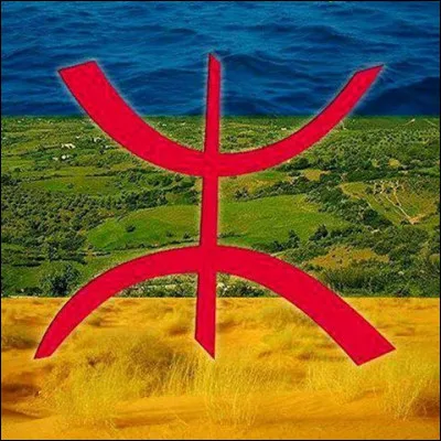 Combien y a-t-il de Berbères ?