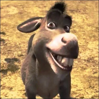 Selon l�&Acirc;ne de "Shrek", quel g&acirc;teau aux fruits est aim&eacute; de tout le monde ?