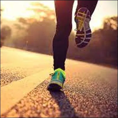 Quel oiseau est le plus rapide &agrave; la course ?