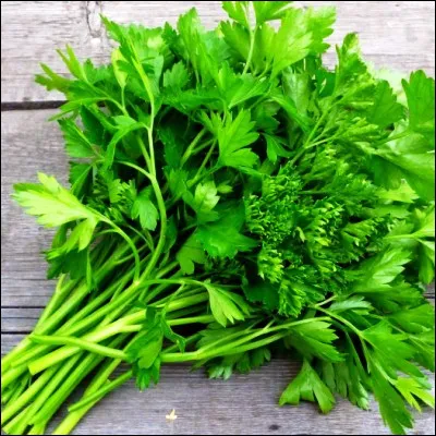 Quelle plante aromatique est aussi appel&eacute;e persil odorant ?