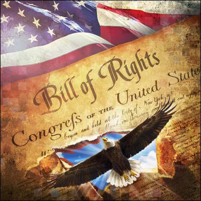" Bill of Rights" signifie...