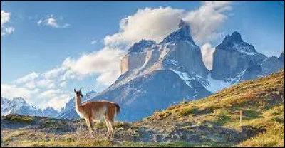 Combien de pays sont frontaliers avec le Chili ?