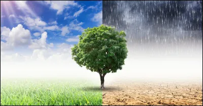 Quel climat préfères-tu ?