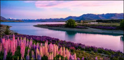 Où se trouve le lac Tekapo ?