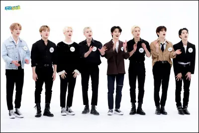 Les Stray Kids sont :