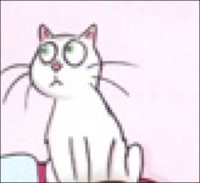 Quel est ton animal préféré parmi ces propositions ?