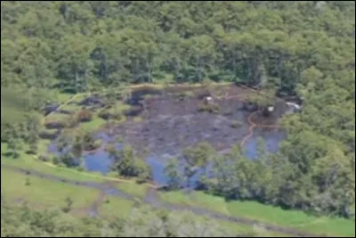 Lac Peigneur (suite) > Après avoir englouti 1 plateforme de forage, 11 barges, 1 remorqueur et 26 hectares de terre dans 11 milliards de litres d'eau, les habitudes ont été quelques peu bouleversées. Par exemple ?