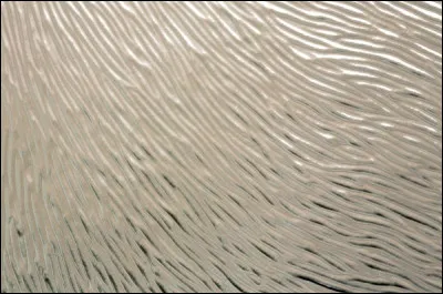 Lequel de ces livres de Bernard Lenteric est sorti en 2003 ?