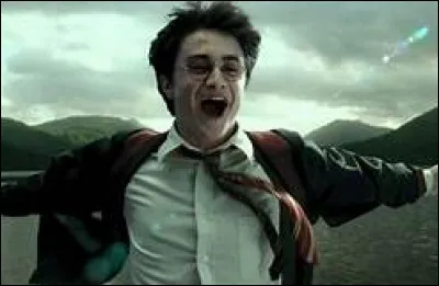 Qui est l'acteur de Remus Lupin ?