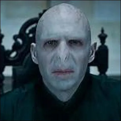 Qui est l'acteur de Voldemort ?