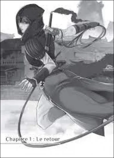 Basé sur un jeu vidéo, un assassin chinois qui veut venger son clan. Quel est ce manga ?