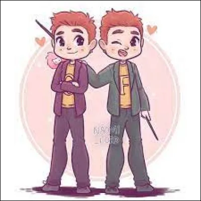 Qui est le plus grand en âge ?