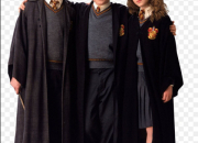 Test Qui est ton meilleur ami ''Harry Potter'' ?