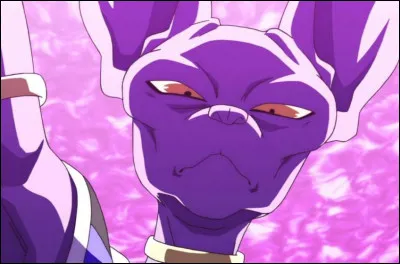 Qu'est-ce que Beerus n'a pas fait ?