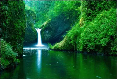 Quel environnement préfères-tu ?