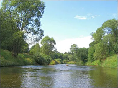 La mère d'hybride bardot, c'est l'...