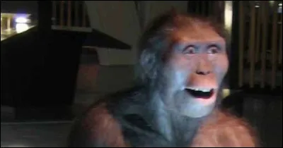 Quel est l'âge de l'australopithèque Lucy ?