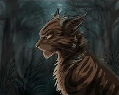 On te propose de t'entrainer dans la forêt Sombre pour devenir plus fort(e) que ta sœur qui se fait acclamer tous les jours ; acceptes-tu ?