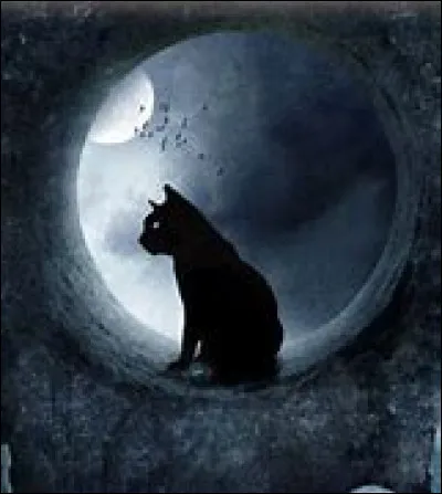 Tu as finalement accepté de rejoindre la forêt Sombre mais au moment de la bataille finale tu hésites :