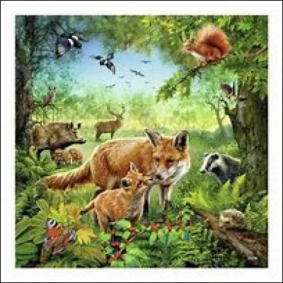 Quel est ton animal préféré ?