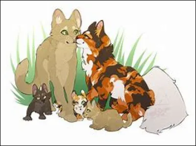 Tu as trois chatons, deux mâles et une femelle ; comment appelles-tu le premier (il est brun rayé de gris) ?