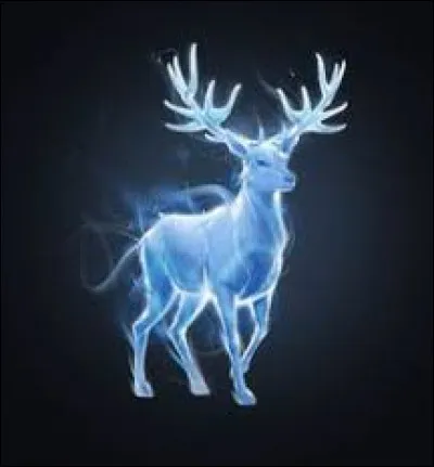 Connais-tu ton Patronus ?