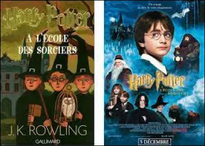 Quel est ton rapport avec Harry Potter ?