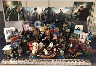 Combien as-tu d'objets Harry Potter ?
