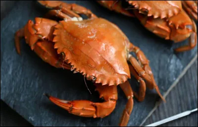 En Australie, des dizaines de millions de crabes rouges quittent les montagnes pour pondre leurs ufs dans la mer.