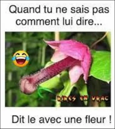 Langage des fleurs : 
Si vous offrez des jonquilles à une femme que cela symbolise-t-il ?