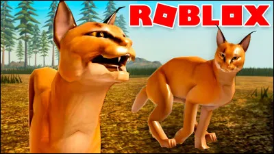 Quel félin préfères-tu ?