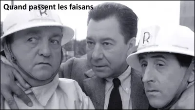 "Quand passent les faisans" est le titre d'un film mis en sc&egrave;ne par Michel Audiard.