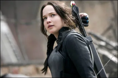 Combien de Districts y avait-il avant la Rébellion contre le Capitole ?