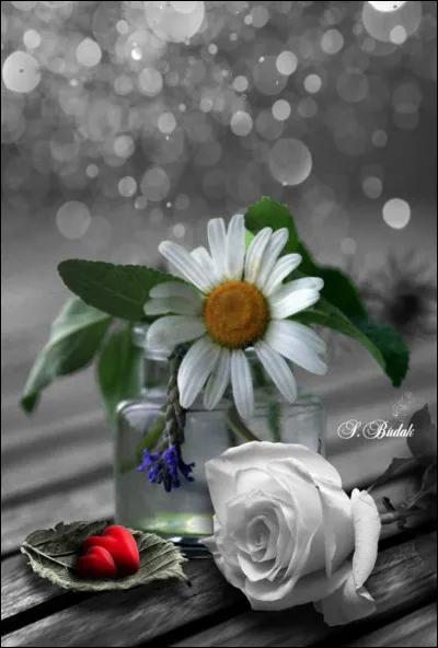 Qui interprétait les paroles "Je t'envoie mes images, je t'envoie mon décor, je t'envoie mes sourires des jours où je me sens plus fort" dans sa chanson "Quelques mots d'amour" ?