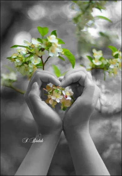 Que dire si vous avez des poignées d'amour ?