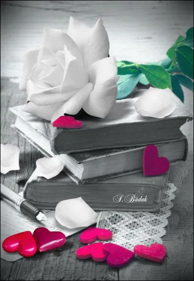 Comment étaient les amours dans le livre de Roger Peyrefitte ?