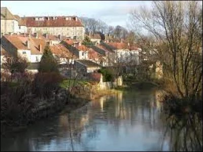 Quel est le gentilé des habitants de Neufchâteau (Vosges) ?