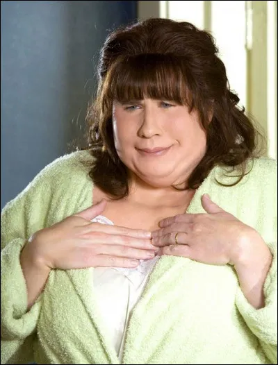 Cette image montre ... dans "Hairspray".