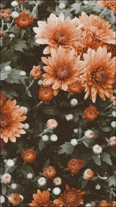 Combien de voyages avaient été effectués par l'Atlantic avant son naufrage ?